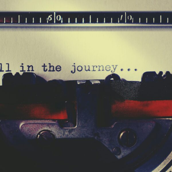 The Save the Cat Method: Why Your Story Needs a Hero Worth Rooting For